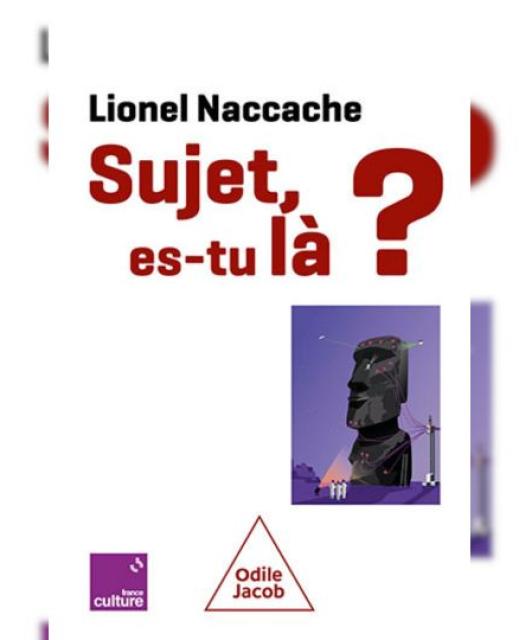 Illustration-Livre-Naccache