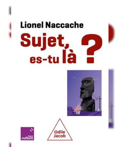 Illustration-Livre-Naccache